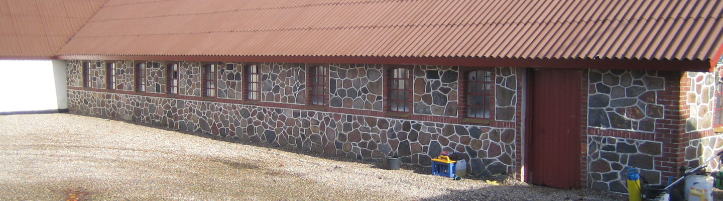 IMG 0517